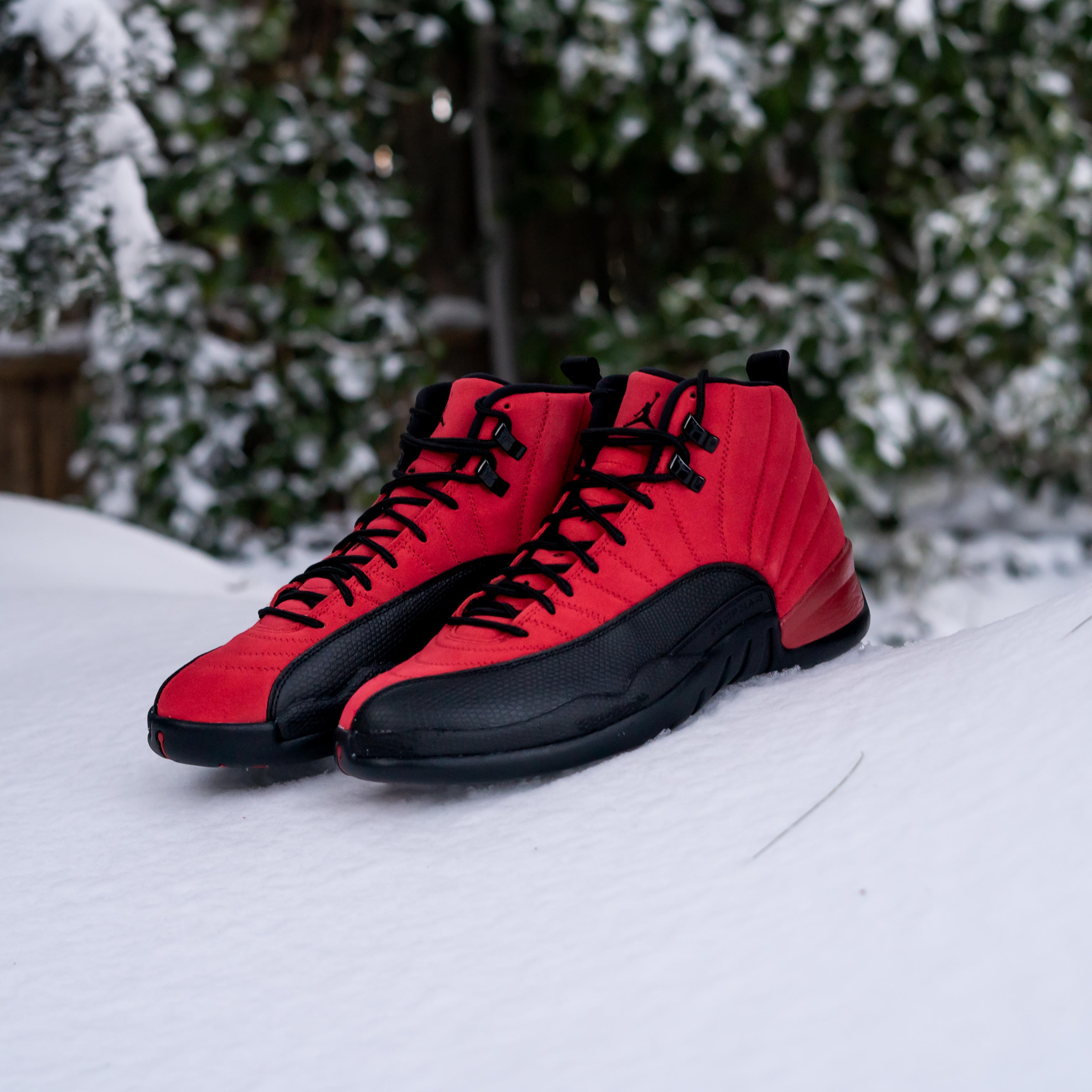 AIR JORDAN 12 RETRO