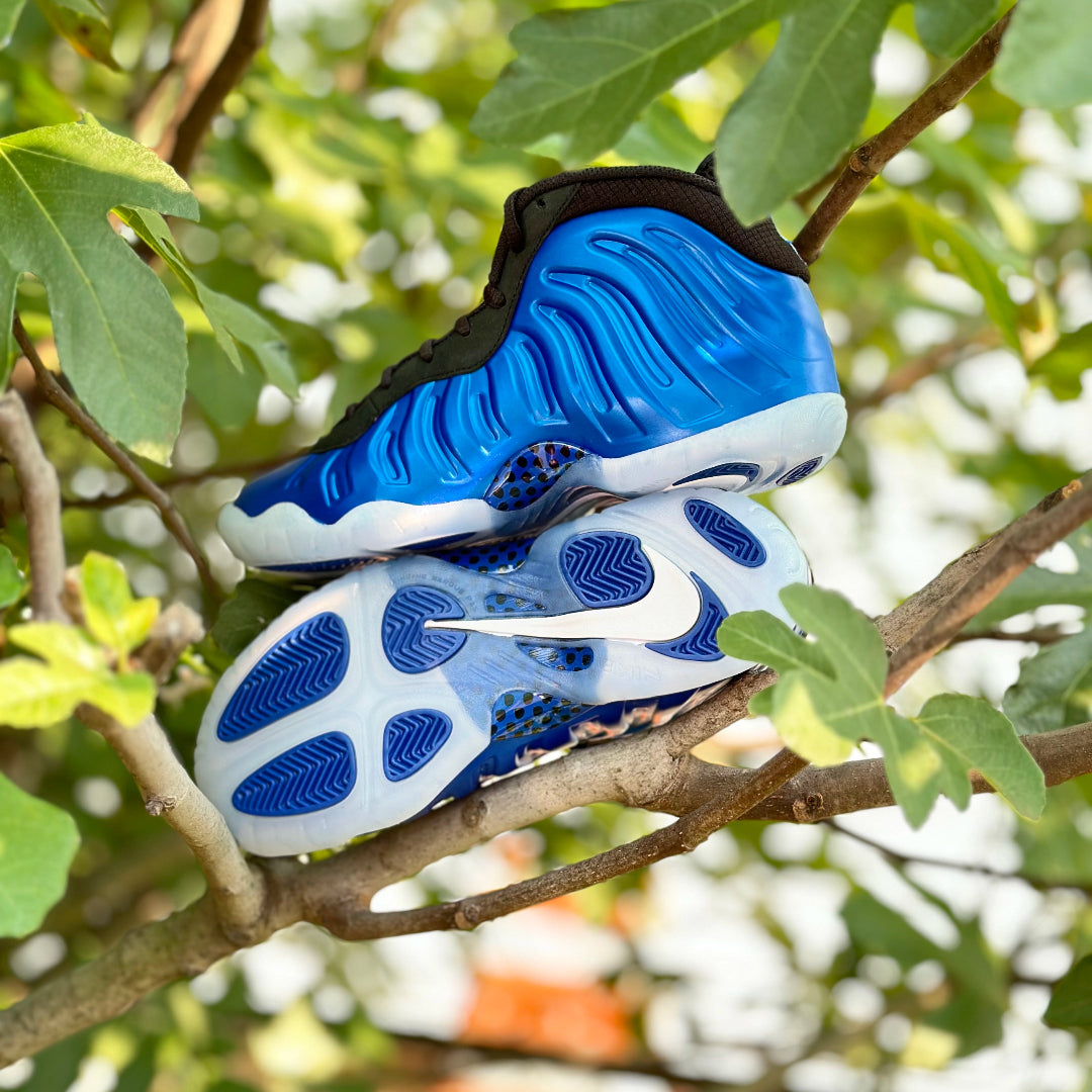 Foamposite nike blue hotsell