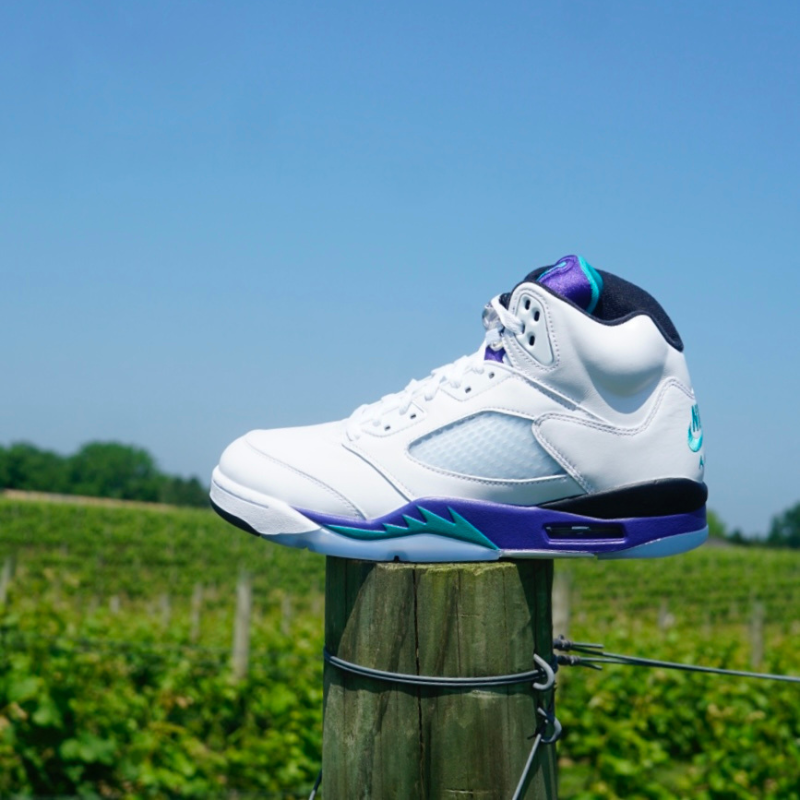 Air Jordan 5 Retro "Grape" – Family Collection