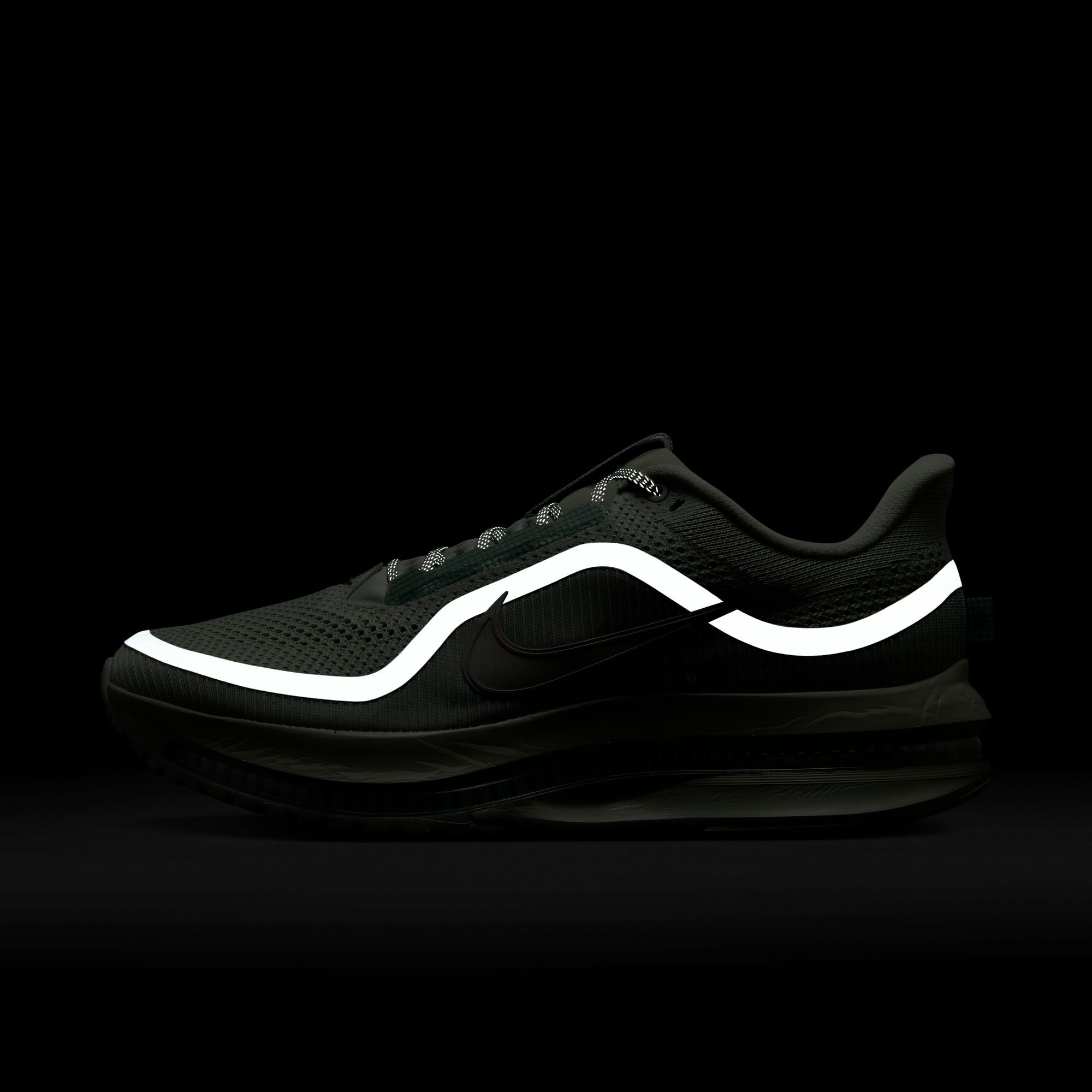 Nike Pegasus Premium - Men's