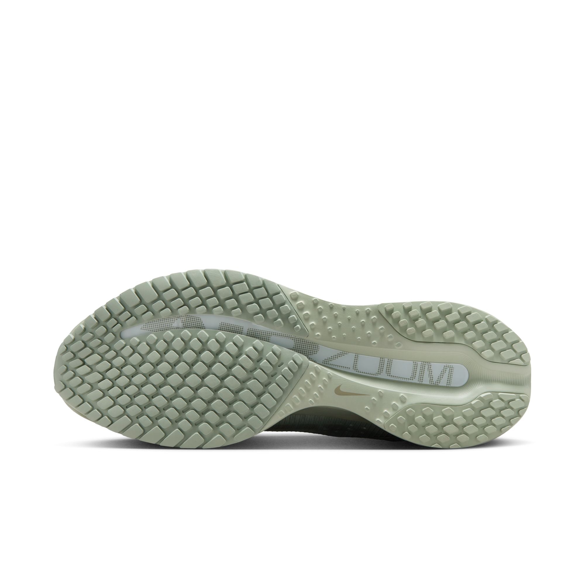 Nike Pegasus Premium - Men's