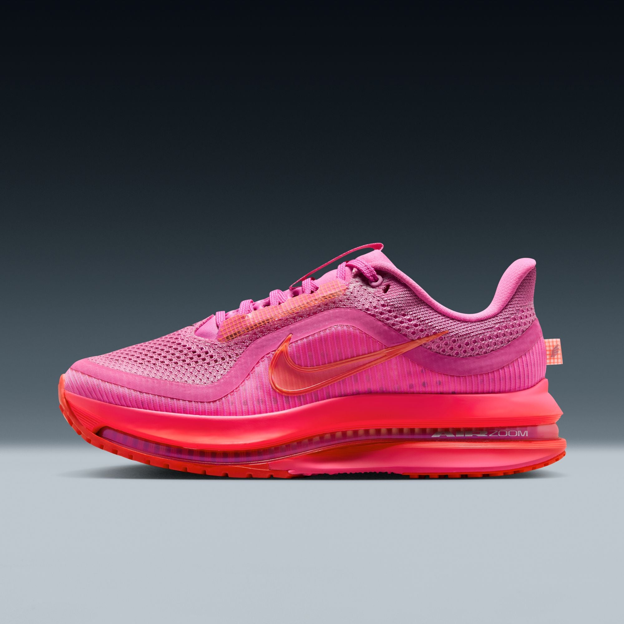 Nike Pegasus Premium - Women's