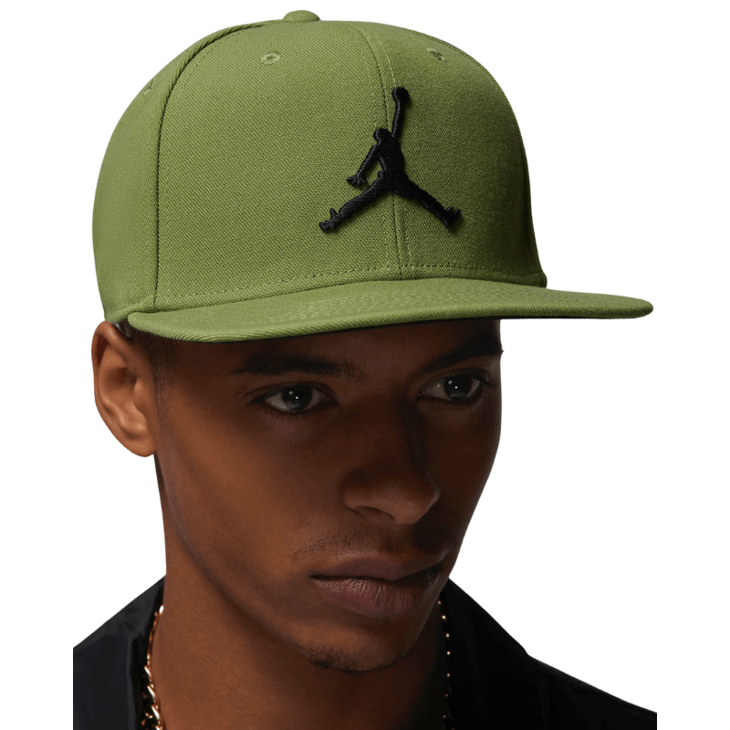 Air Jordan Apparel Air Jordan Pro Cap Adjustable Hat