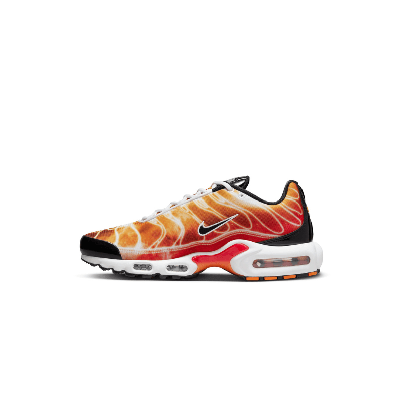 Nike Air Max Plus OG Light Photography Men s