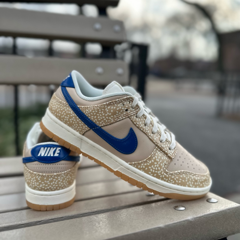 Triviaal Marco Polo Chemie Nike Dunk Low “Montreal Bagel” - GBNY