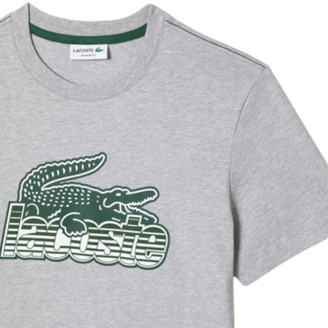 Lacoste Lightweight Pima Cotton V-Neck T-Shirt - Men's
