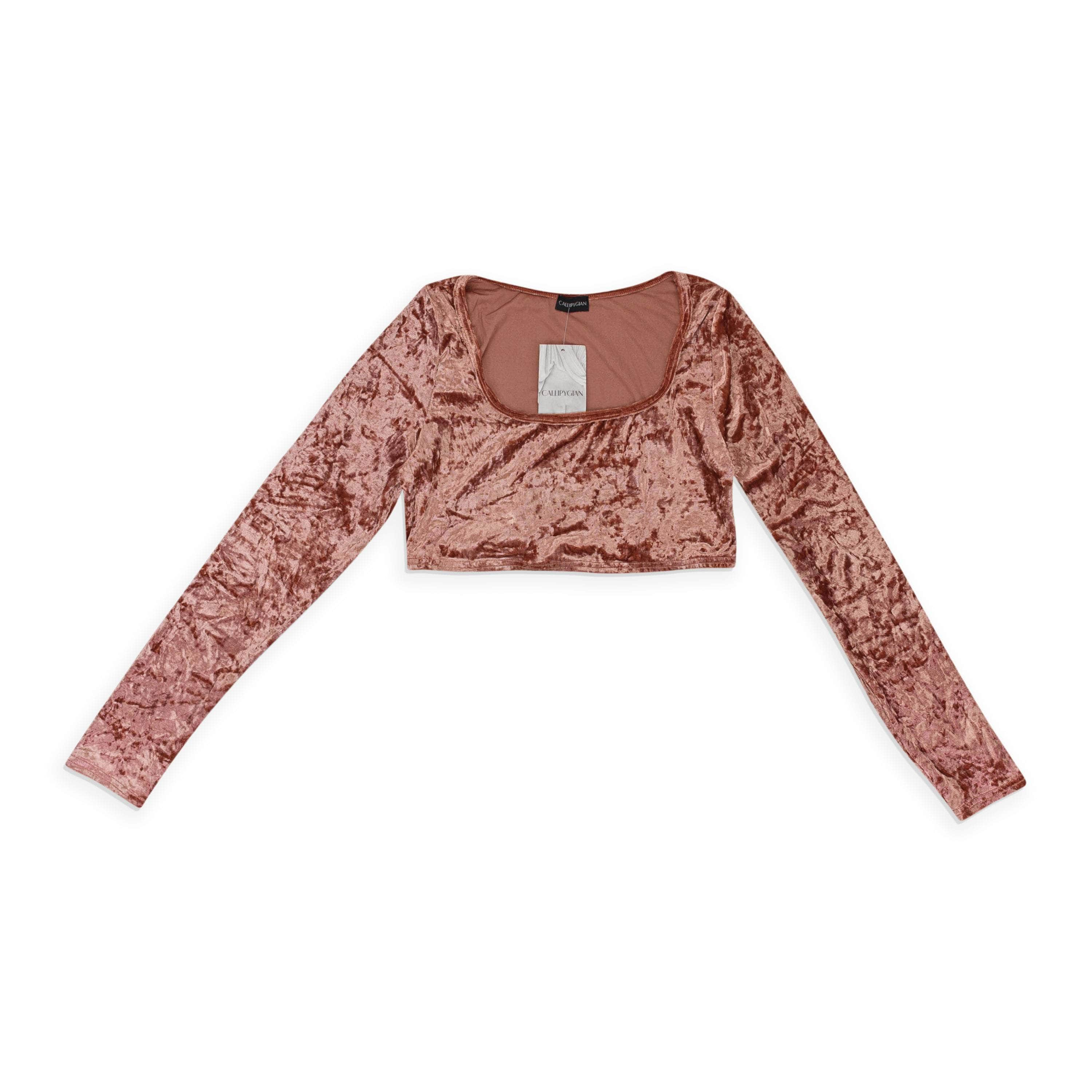 Callipygian 95-CPN-1104/XS 95-CPN-1104/XS VP94035_PINK DUSTY PINK CALLIPYGIAN CRUSHED VELVET CROP TOP Size XS 95-CPN-1104/XS