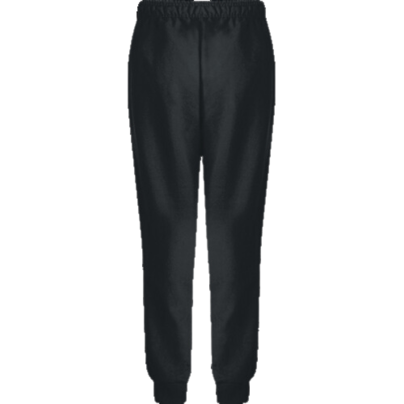 Champion powerblend retro fleece 2025 jogger pant