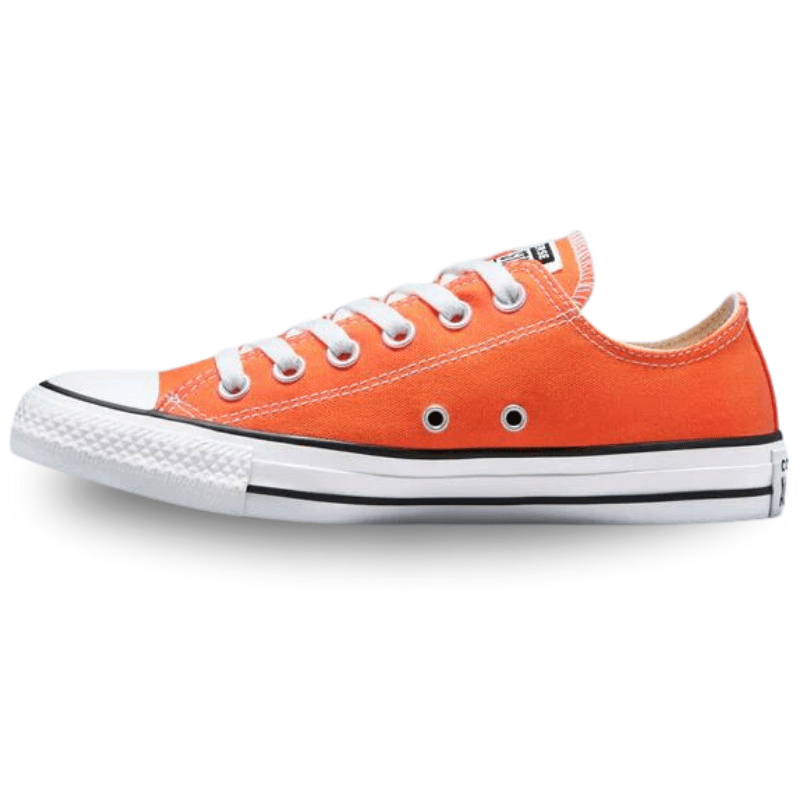 Converse FOOTWEAR Converse Chuck Taylor All Star Low Shoes - Men's