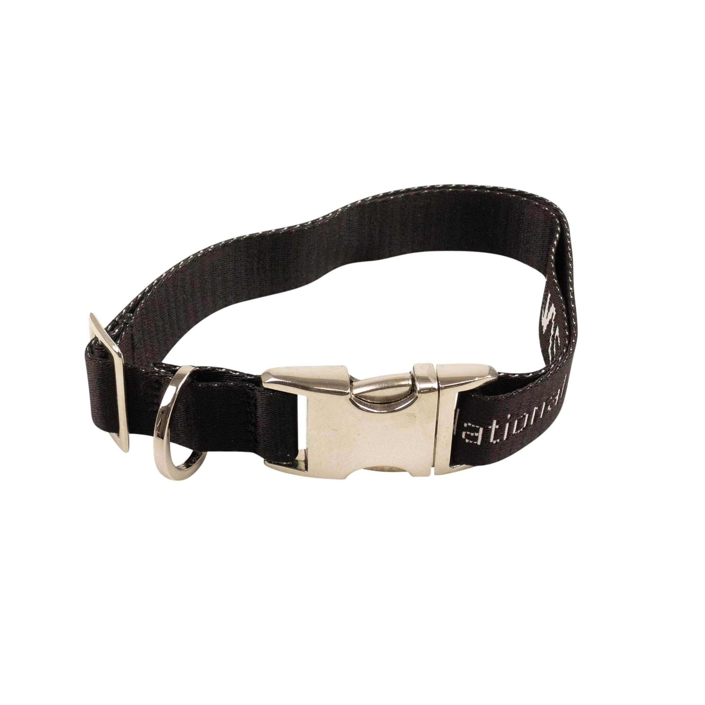 Black Leather Silver Stud Belt - GBNY