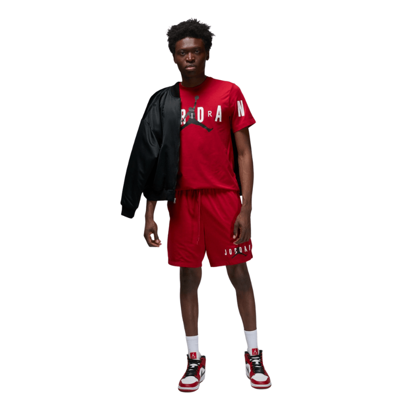 Jordan air hot sale mesh jersey