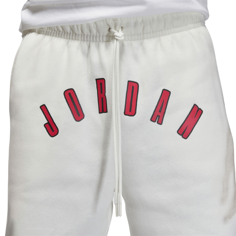 jordan shorts for men