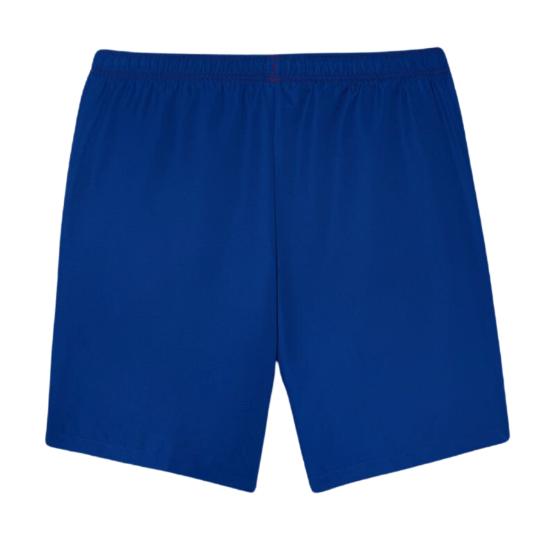 Lacoste Apparel Lacoste Logo Stripe Tennis Shorts - Men's