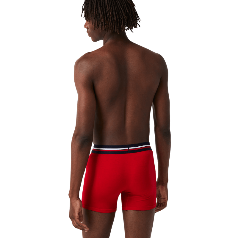 Lacoste Apparel Lacoste Long Cotton Boxer Brief 3-Pack - Men's