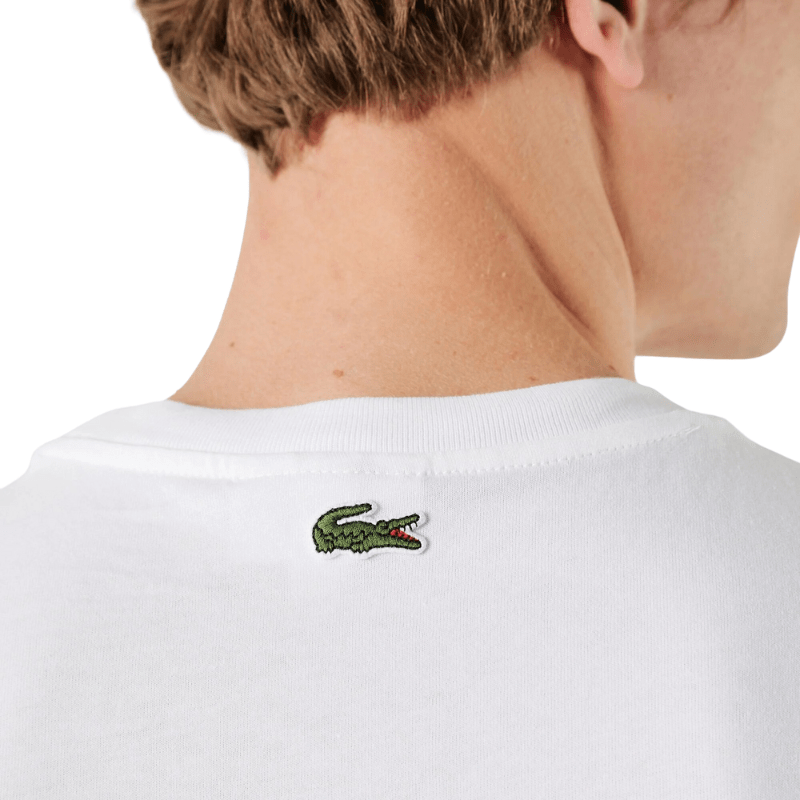 Lacoste Apparel Lacoste Regular Fit Crew Printed Colorblock Jersey T-Shirt - Men's