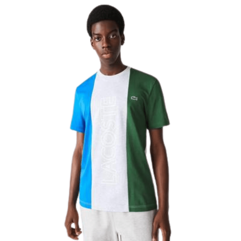 Lacoste Apparel Lacoste Regular Fit Crew Printed Colorblock Jersey T-Shirt - Men's