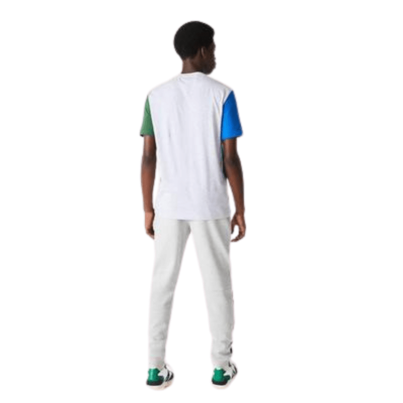 Lacoste Apparel Lacoste Regular Fit Crew Printed Colorblock Jersey T-Shirt - Men's