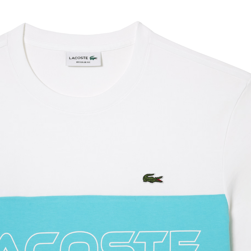 Lacoste Apparel LACOSTE Regular Fit Printed Colorblock T-Shirt - Men's
