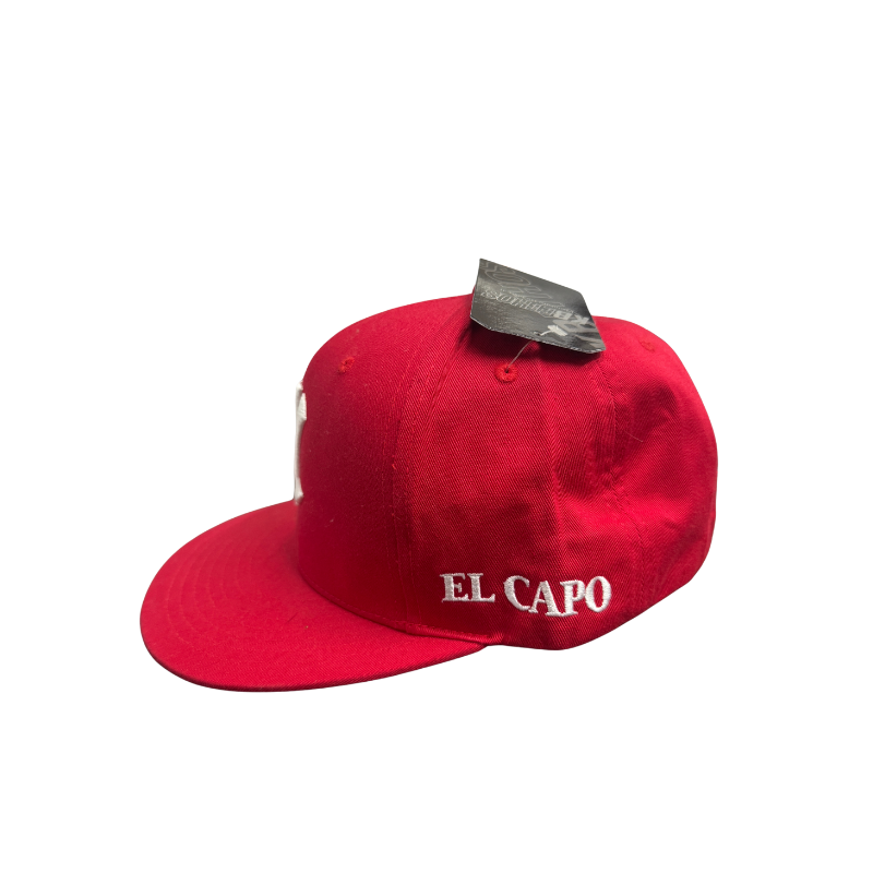 Vampire Life Hats Red