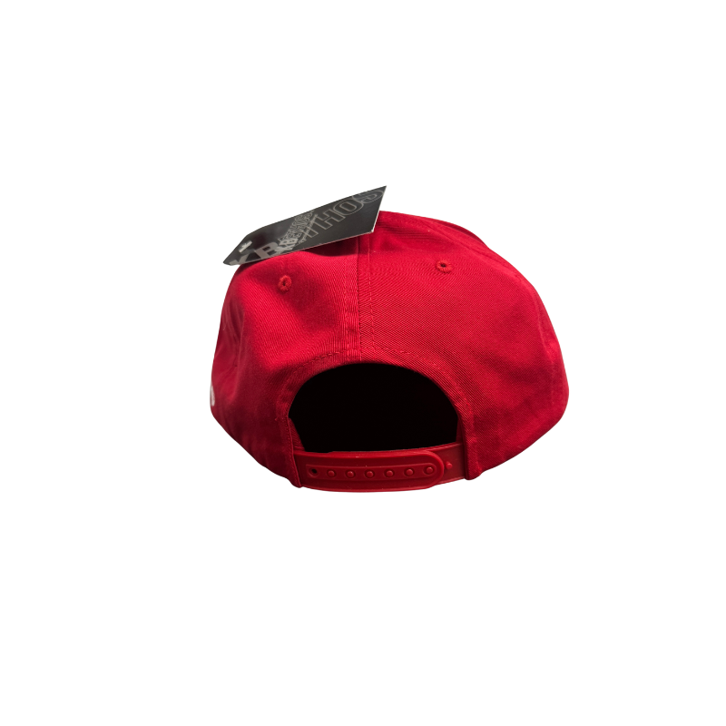 Vampire Life Hats Red