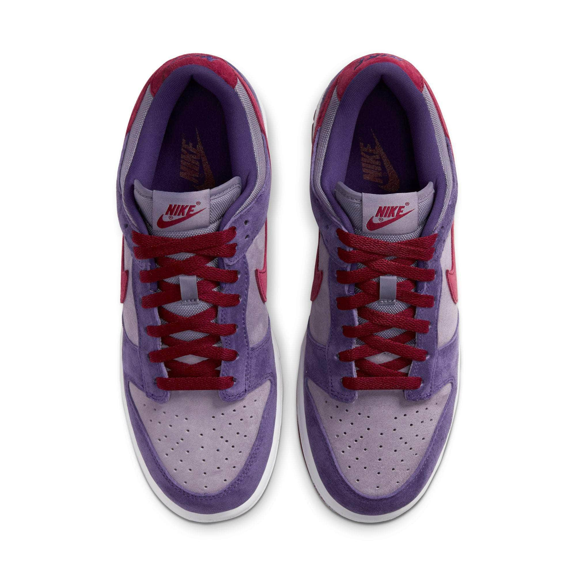 Nike Dunk Low Special Edition 