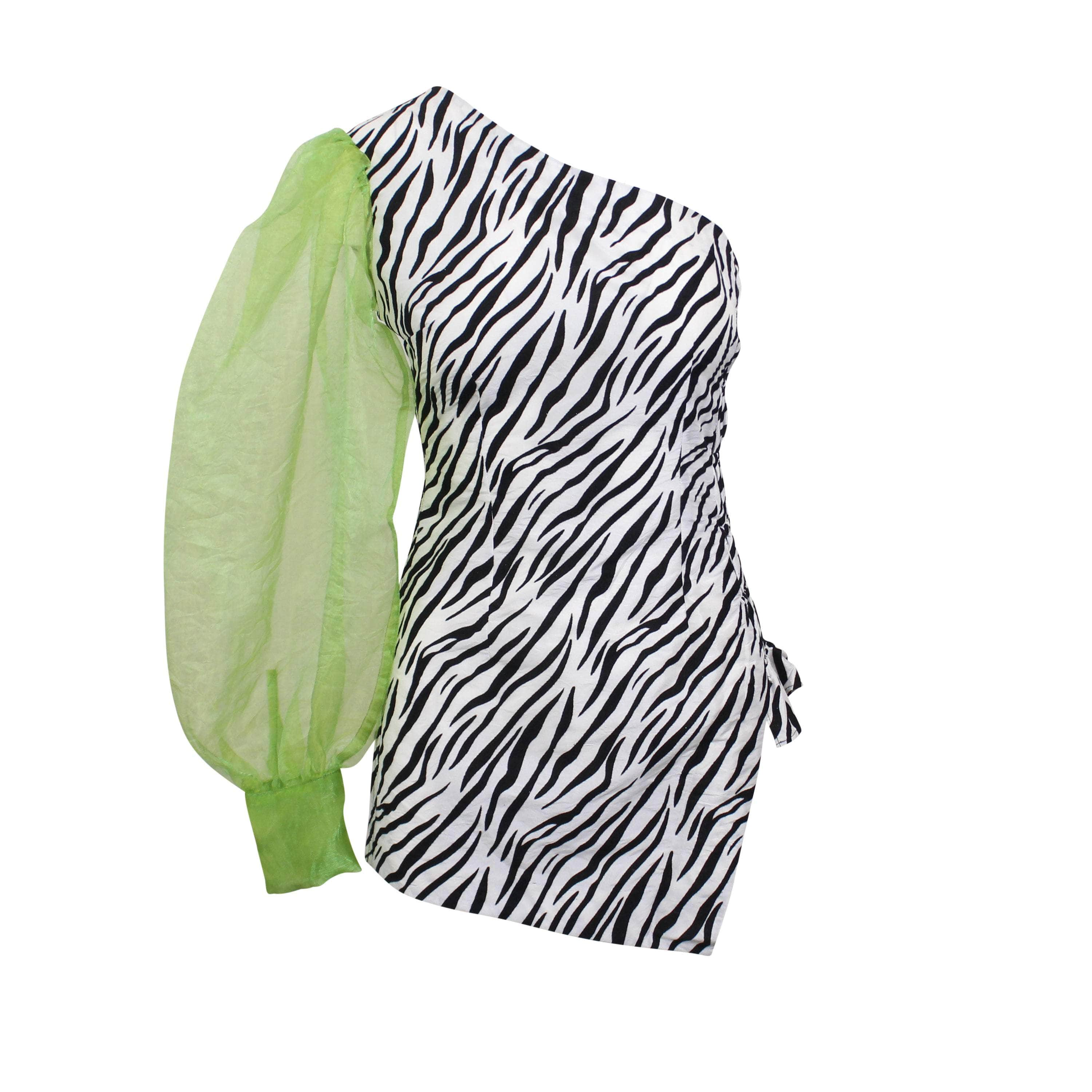 Roberto Sanchez 95-RSZ-0002/OS NWT ROBERTO SANCHEZ ZEBRA GREEN TONGOLELE DRESS Size OS $380 95-RSZ-0002/OS