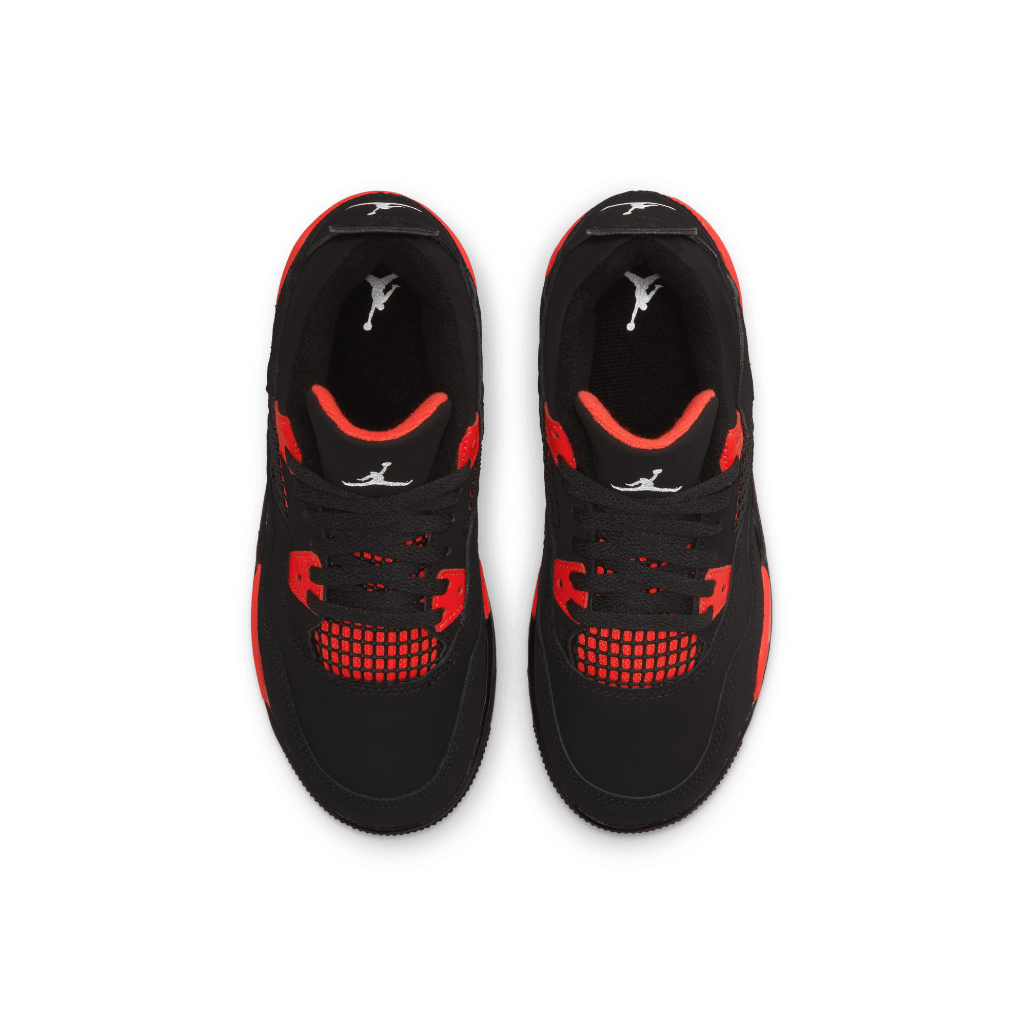 Bred sales 4 preschool